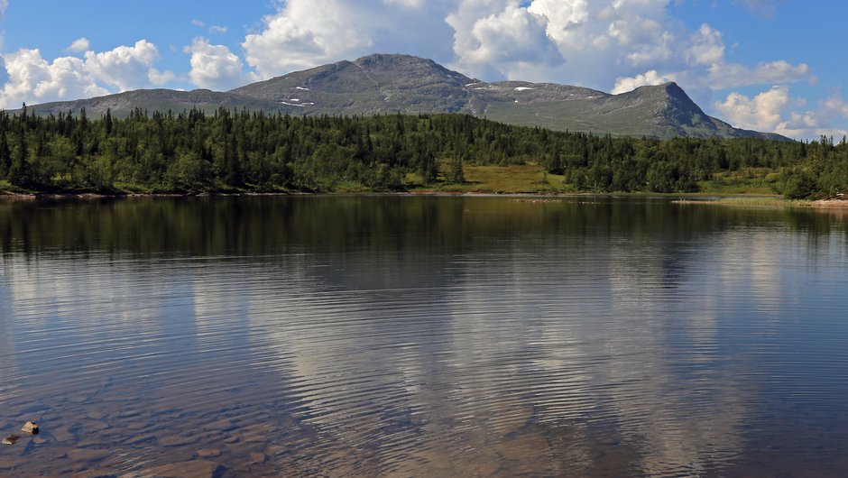 En sommarbild av Åreskutan,  avbildad söder ifrån med en sjö i förgrunden. Efter sjön finns grön skog och bakom skogen sticker berget upp. Blå himmel med vita moln.
