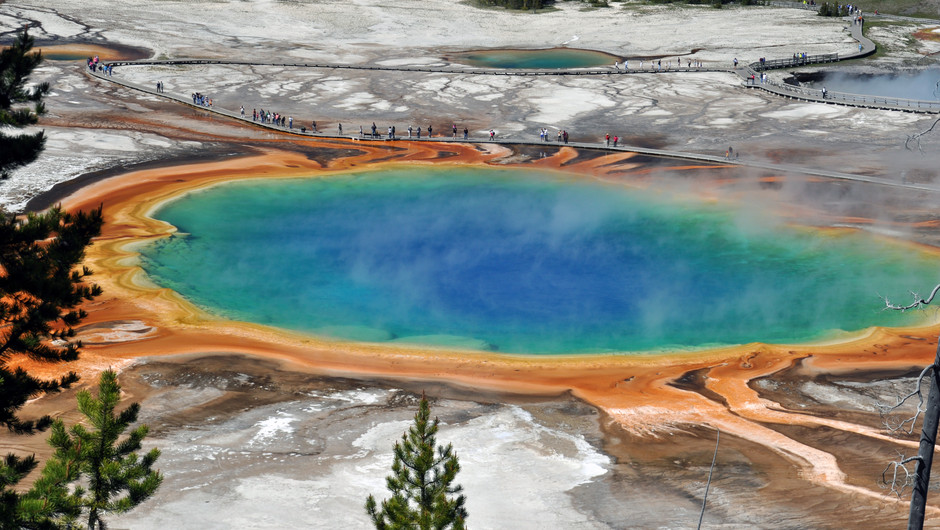 En stor ring med blått i mitten och röda och orange färger längst ut, Intill kanten av denna hotspot kallad Yellowstone går en gångväg där många besökare vandrar. Området ser ut som en sjö mellan skogspartier.