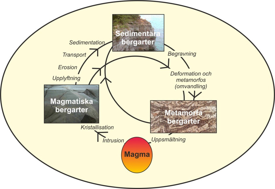 Genom olika geologiska processer kan de tre huvudtyperna av bergarter övergå i varandra iett cykliskt förlopp, den s.k. bergartscykeln.