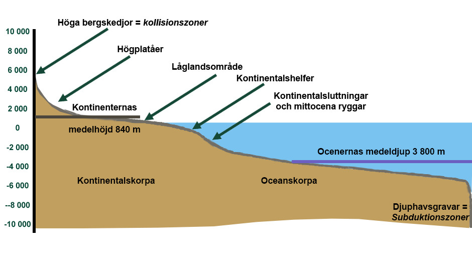En schematisk bild som visar höjd och djup för bergskedjor och oceaner. Utmärkt på illustrationen finns även kontinentalskorpa, oceanskorpa med flera.
