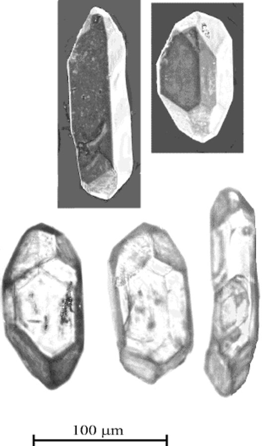 Zirkon (ZrSiO4) är ett mineral som ofta används för uran-bly-datering. Bilden till vänster visar några typiska zirkonkristaller, ca. 0.1 mm stora. De två översta kristallerna är fotograferade med elektron-mikroskop, de tre understa i glycerin i genom-allande ljus i ett vanligt ljus-mikroskop. Foto: Alexander Larionov