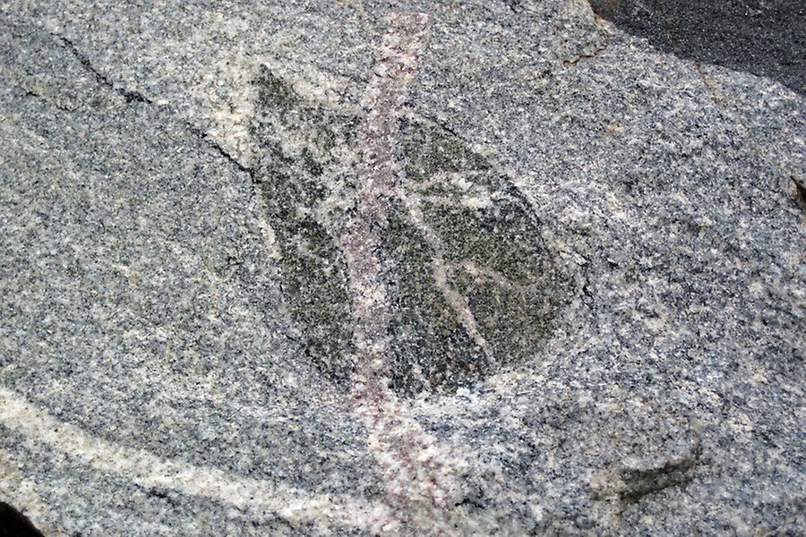 Granitvall som skär xenolit i Prekambrium i Minnesota, USA.Detta är en del av en berömd häll i nordöstra Minnesota - Confusion Hill. Dessa är påträngande magmatiska bergarter (huvudsakligen ljus tonalit & mörkfärgad diorit) från sen arkeisk ålder, en del av Giants Range Batholith.Den mörkfärgade massan som ses ovan är en xenolit ("främmande sten") som införlivades i magman innan den slutliga stelningen. Den subvertikalt orienterade, mörkt rosa-grå strukturen som löper genom xenoliten är en granitvall.Geologisk enhet och ålder: Giants Range Batholith, Neoarchean, 2,674 till 2,682 GaPlats: Confusion Hill outcrop - vägavbrott på den östra sidan av norrgående Rt. 169/Rt. 53, omedelbart norr om rastplatsen vid vägkanten, nordvästra sidan av Lookout Mountain, Laurentian Divide, strax norr om staden Virginia, centrala St. Louis County, nordöstra Minnesota, USA (47° 34' 40.71" North, 92° 32' 37.21 "Väst)
