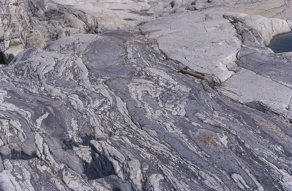 Sedimentådergnejser som skärs av Härnö-granit (ca 1820 miljoner år gammal), Härnön, Ångermanland. Foto: Thomas Lundqvist, SGU.