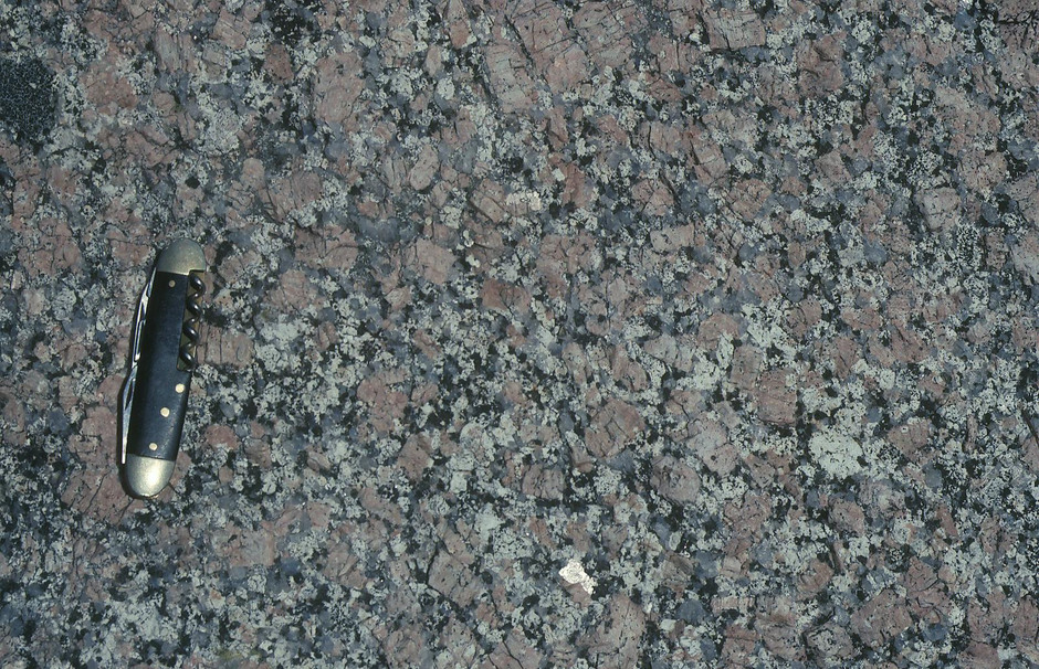 Rätangranit från Kårböle i västra Hälsingland, ca 1700 miljoner år gammal, en del av det Transskandinaviska granitporfyrbältet. Foto: Thomas Lundqvist, SGU.