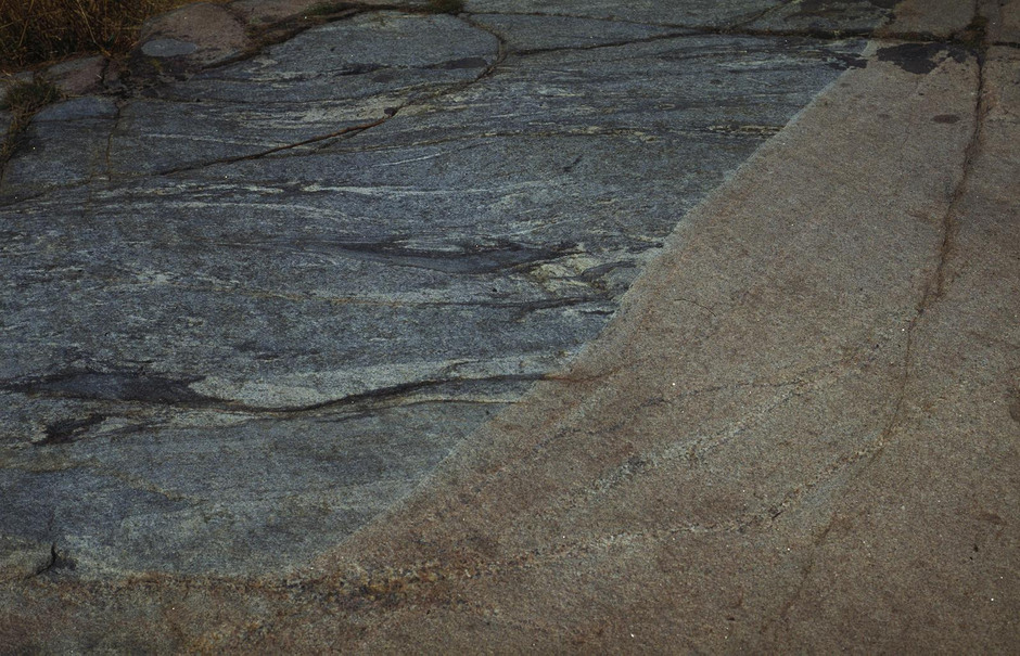 Bohusgranit (ljusröd, ca 920 miljoner år gammal) med stort brottstycke av sedimentådergnejs (grårandig), Kungshamn, Bohuslän. Foto: Åke Johansson.