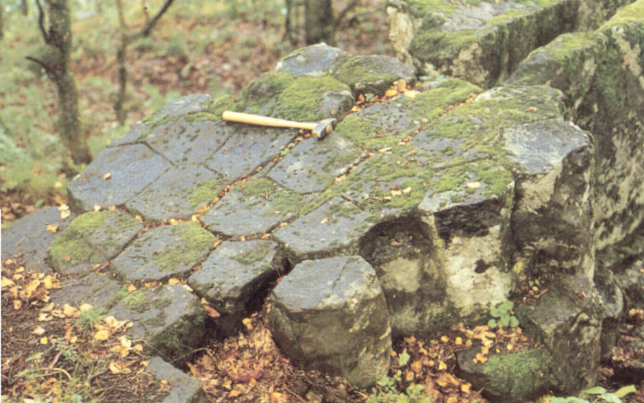 De yngsta bergarterna i Sverige är sedimentbergarter i Skåne från Jura, Krita och tidig Tertiär. Nära Röstånga i centrala Skåne finns också ett område med små basaltvulkaner, s.k. basaltkupper, med en ålder på 100-150 miljoner år (Jura eller Krita), vilka fortfarande framträder som små höjder i terrängen. Bilden visar pelarförklyftad basalt vid Juskushall nära Röstånga. Pelarförklyftning är ett relativt vanligt fenomen i basaltisk lava, och uppkommer när lavan stelnar och drar ihop sig. Idealt bildas då som på bilden sexkantiga mer eller mindre vertikala pelare. Foto: Hugo Wikman, SGU.