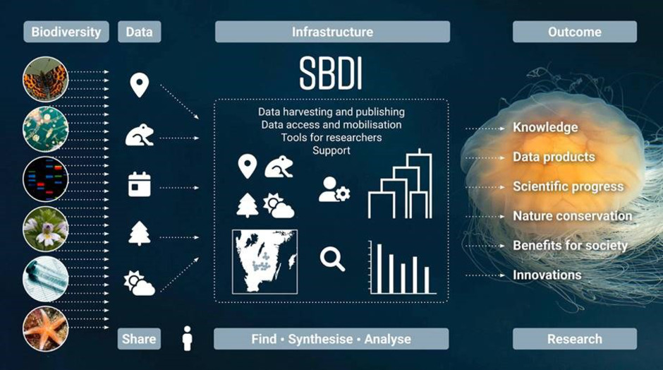 Diagram över SBDI:s tjänster