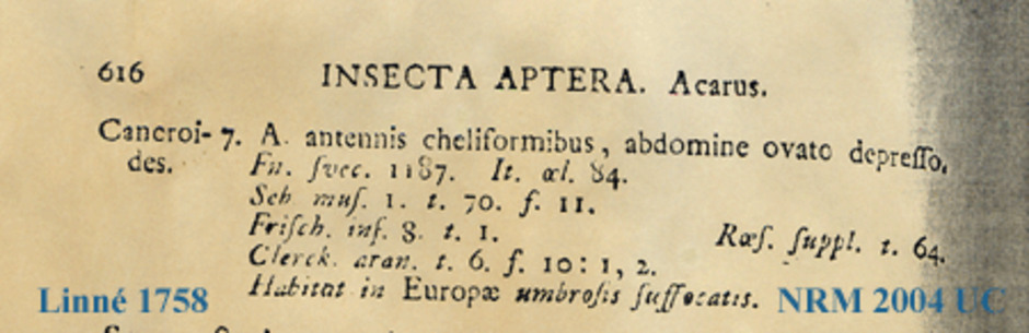Från Linnés Systema naturae.