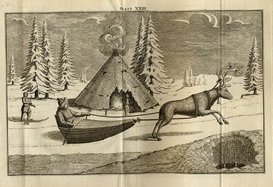 Illustration ur Houttuyns Natuurlyke Historie (vol 3) från 1762. Notera renlaven under snötäcket nere till höger!