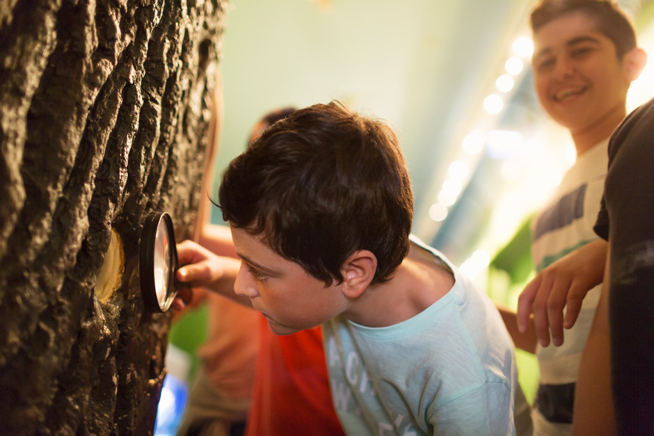 En pojke tittar i förstoringsglas på en trädstam med en annan pojke i skratttandes i bakgrunden.