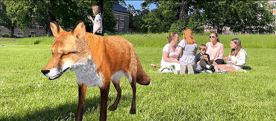 En räv står framför en sällskap som har picnick.