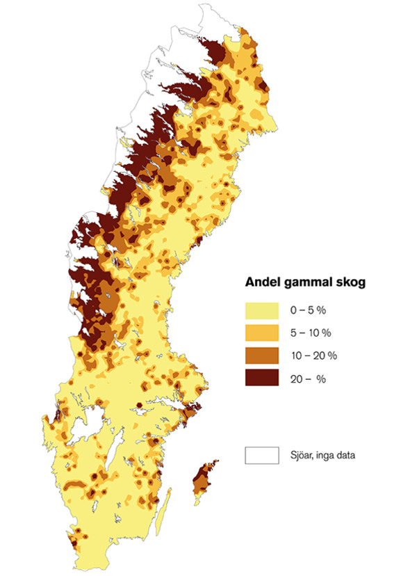 Karta över Sverige som visar var det finns gammal skog.