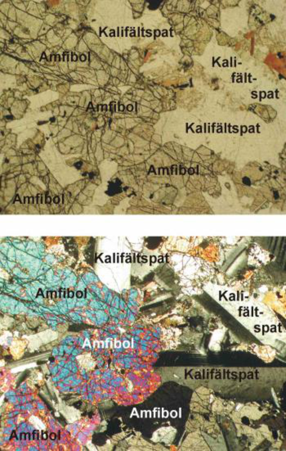 Granodiorit från Beden på Romeleåsen i Skåne, sedd i tunnslip i mikroskop i genomfallande ljus. Det övre fotot visar bergarten sedd i polariserat ljus med parallella s.k. nicoler, det undre fotot samma område med korsande nicoler, vilket ger helt annorlunda färgeffekter. Storleken på bilden är ca 2 x 3 mm.