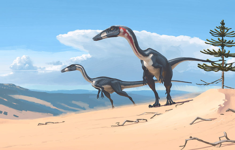 Coelophysis, en av de första rovdinosaurierna - och kannibal. Bild: Simon Stålenhag.