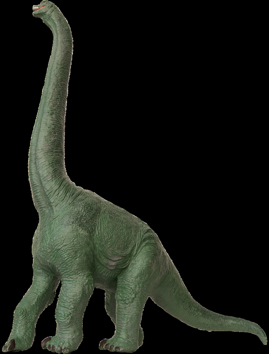 Brachiosaurus – nio meter lång hals!