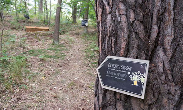 Trädstam med pilformad skylt med texten "En plats i skogen".