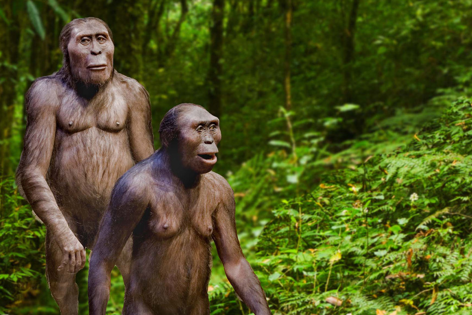 Två individer av den förhistoriska människoarten Australopithecus afarensis i en av sina livsmiljöer, torrskogen. Bilden är ett montage.