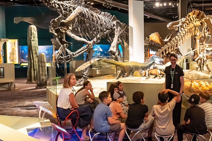 Elever på visning i utställningen Fossil och evolution
