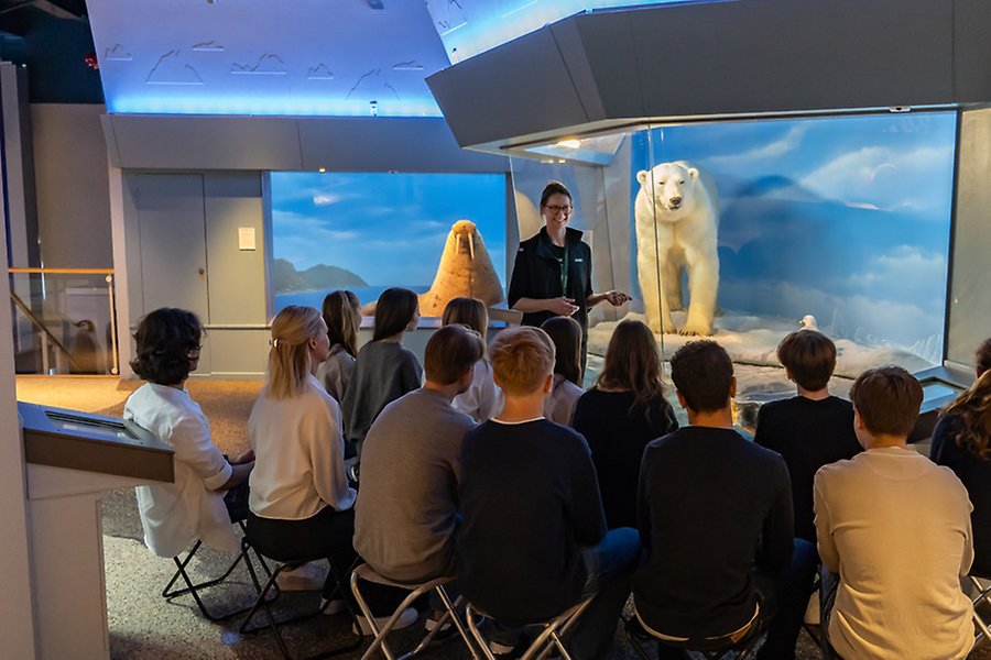 Elever på visning i utställningen Polartrakterna