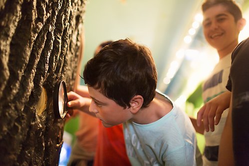En pojke tittar i förstoringsglas på en trädstam med en annan pojke i skratttandes i bakgrunden.