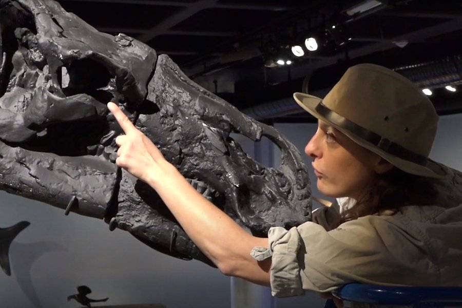 Dino-Doris pekar på ett fossil.