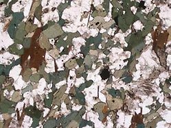 Mikroskopbild av mineralkorn i tunnslip av bergarten amfibolit