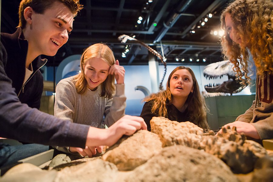 Elever i utställningen Fossil och evolution.